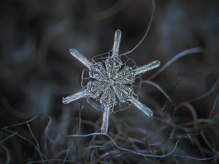 selektivt foto av crystal snöflinga, snöflinga, selektivt, foto, snöflinga, vinter, jul, bakgrunder, HD tapet