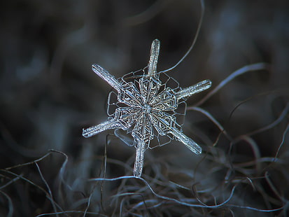 селективное фото кристаллических снежинок, снежинка, селективное, фото, снежинки, зима, рождество, фоны, HD обои HD wallpaper