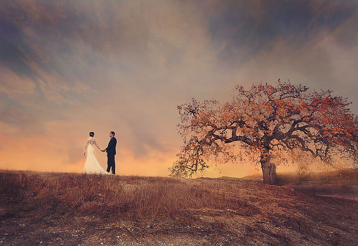 field, the sky, tree, pair, the bride, the groom, wedding dress, HD wallpaper