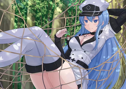 Akame ga Kill !, Esdeath, Anime Girls, HD-Hintergrundbild HD wallpaper