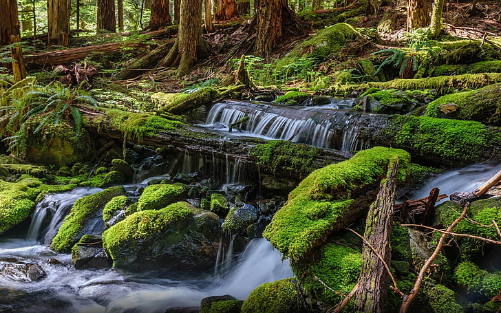 Washington Su Olimpik Milli Parkı Su Düşmek Yeşil Yosun Arp Düşmüş Ağaçlar Sol Duc Falls Peyzaj Doğa Duvar Kağıdı Hd Cep Telefonları Ve Bilgisayar Için 3840 × 2400, HD masaüstü duvar kağıdı