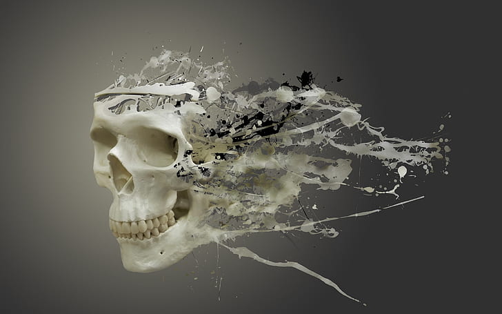 กะโหลก cgi 3d Abstract 3D และ CG HD Art, 3D, Skulls, cgi, วอลล์เปเปอร์ HD
