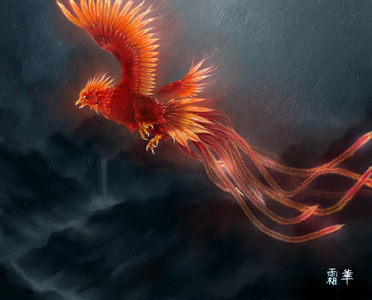 Fantasy Animals, Phoenix, Artistic, Bird, HD wallpaper | Wallpaperbetter