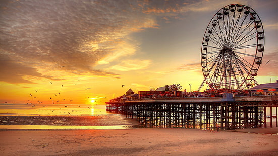 black ferris wheel, sunset, beach, ferris wheel, UK, pier, Blackpool, birds, HD wallpaper HD wallpaper