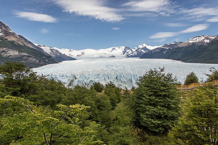 зелени листни дървета, ледник Перито Морено, Аржентина, планини, красив пейзаж, HD тапет
