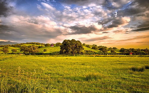 Равнина, зеленина, слънце, планини, дървета, трева, HD тапет HD wallpaper