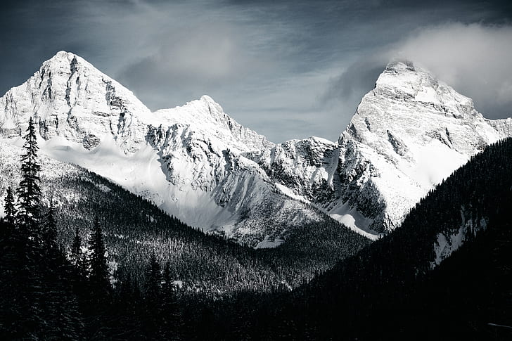ภูเขา, ภูเขา, ขาวดำ, ป่าไม้, ธรรมชาติ, จุดสูงสุด, หิมะ, วอลล์เปเปอร์ HD