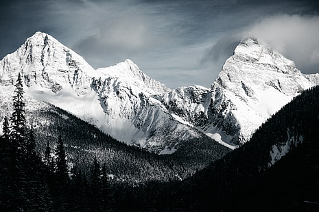 Montañas, Montaña, Blanco y negro, Bosque, Naturaleza, Pico, Nieve, Fondo de pantalla HD HD wallpaper