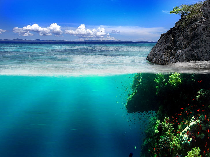 cuerpo de agua, mar, costa, rocas, mundo submarino, vegetación, peces, Fondo de pantalla HD