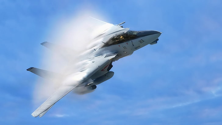 Kampfflugzeuge, F-14 Tomcat, Flugzeuge, Überschallknaller, HD-Hintergrundbild