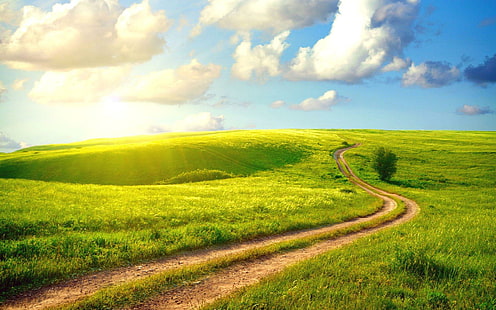 Long Way Home, bella, prateria, erba, bella, campo, strada, bella, orizzonte, lunga strada verso casa, nuvole, paesaggio, Sfondo HD HD wallpaper