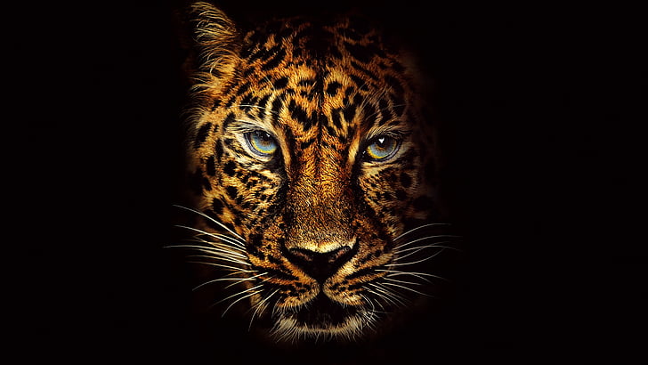 Jaguar, Jumanji: Bienvenue dans la jungle, 4K, 8K, Fond d'écran HD