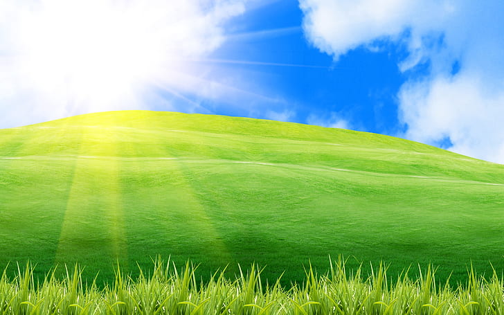 Superb Sunny Day, landscape, field, hill, HD wallpaper