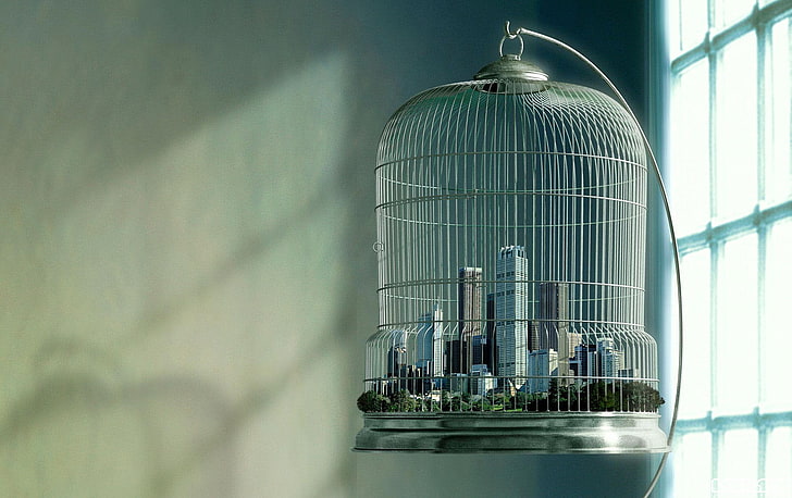 City In Bird Cage, gray metal birdcage, Art And Creative, HD wallpaper