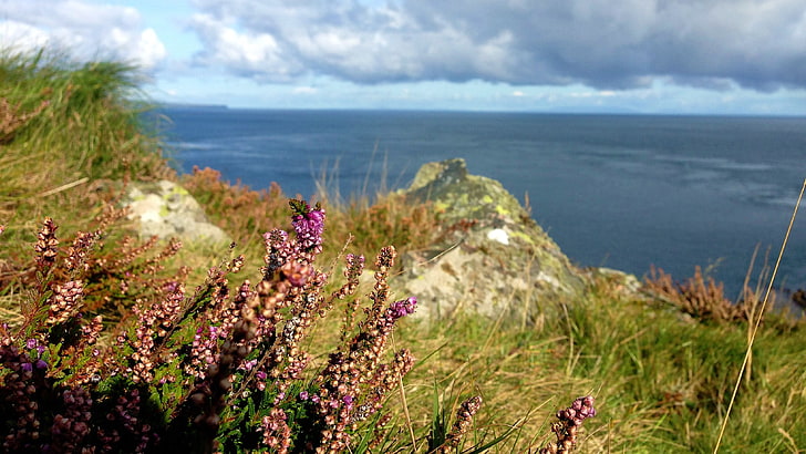 북 아일랜드, 해안선, 해안, 바다, HD 배경 화면