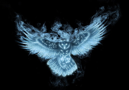 синя сова цифров тапет, поглед, бухал, крила, черен фон, HD тапет HD wallpaper