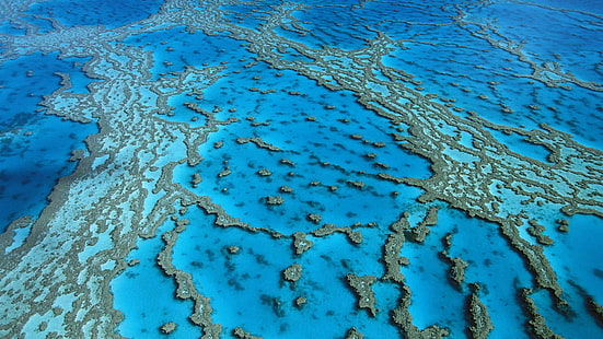 Korallformationer i Hardy Reef, stränder, 1920x1080, korall, australien, stort barriärrev, rev, hardy, HD tapet HD wallpaper