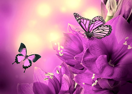 farfalla nera e rosa illustrazione, fiore, collage, farfalla, ali, petali, Sfondo HD HD wallpaper