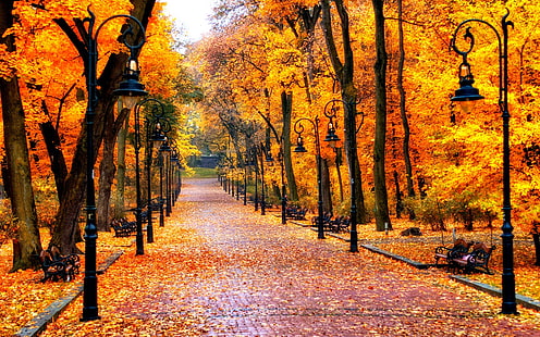 Atractiva escena de otoño, Fondo de pantalla HD HD wallpaper