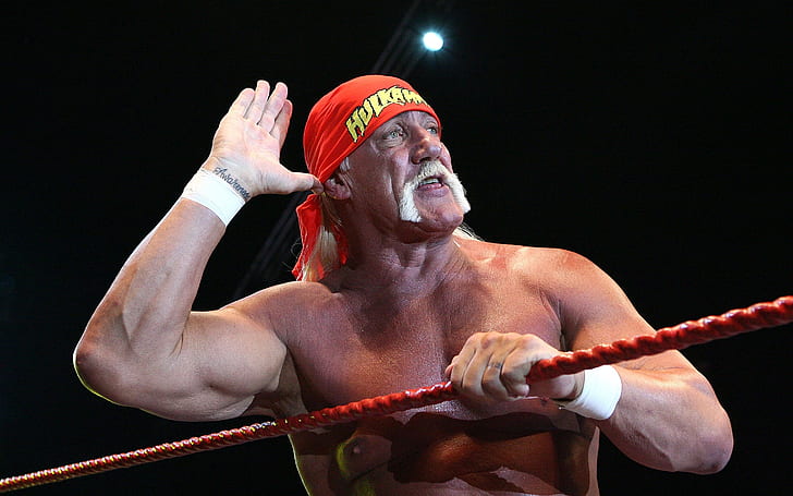 Saudação Hulk Hogan, Hulk Hogan, HD papel de parede