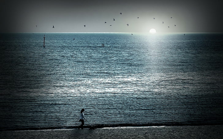 Meer, Sonne, Vögel, HD-Hintergrundbild