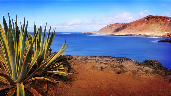 zdjęcie węża roślinnego przy zbiorniku wodnym, gran canaria, gran canaria, Playa, El, Gran Canaria, zdjęcie, wąż, roślina, zbiornik wodny, krajobraz, skały, morze kanaryjskie, wyspy kanaryjskie, wybrzeże, plaża, morze, przyroda, wybrzeże, krajobrazy, piasek, Tapety HD HD wallpaper