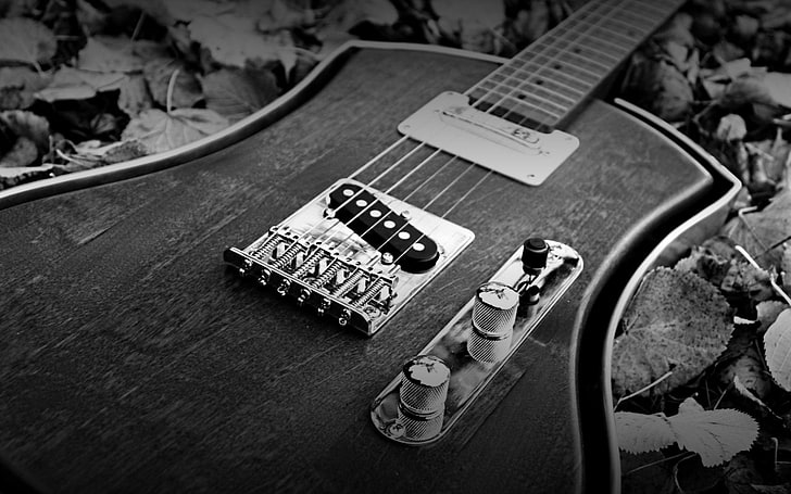 Photographie en niveaux de gris de guitare électrique, style, guitare, noir et blanc, cordes, étui, outil, musique, Fond d'écran HD