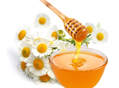 honey and wooden rod, honey, flower, chamomile, sweet, HD wallpaper HD wallpaper