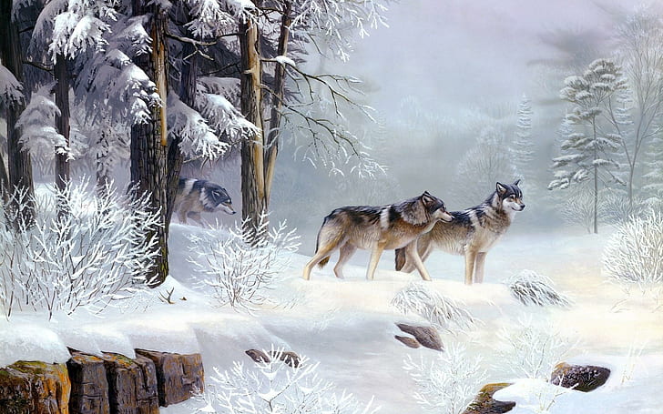 Горски вълк, две кафяви вълчи кучета живопис, сняг, гора, дърво, вълк, животни, HD тапет