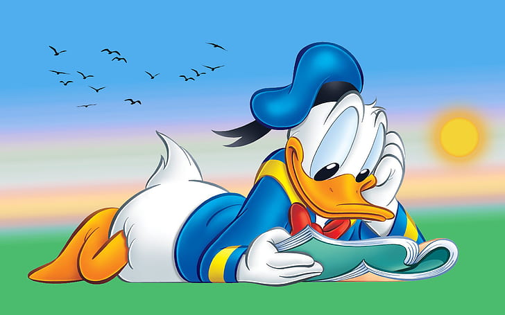 Donald Duck Cartoon Reading Book Desktop Hd Wallpaper за таблет и компютър 2560 × 1600, HD тапет