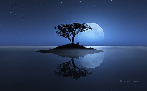 albero sotto la luna piena sfondo, alberi, albero, blu, scuro, isola, luna, notte, riflessione, stelle, acqua, Sfondo HD HD wallpaper