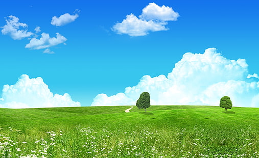 Dreamscape Spring 4, green grass field, Seasons, Spring, Dreamscape, HD wallpaper HD wallpaper
