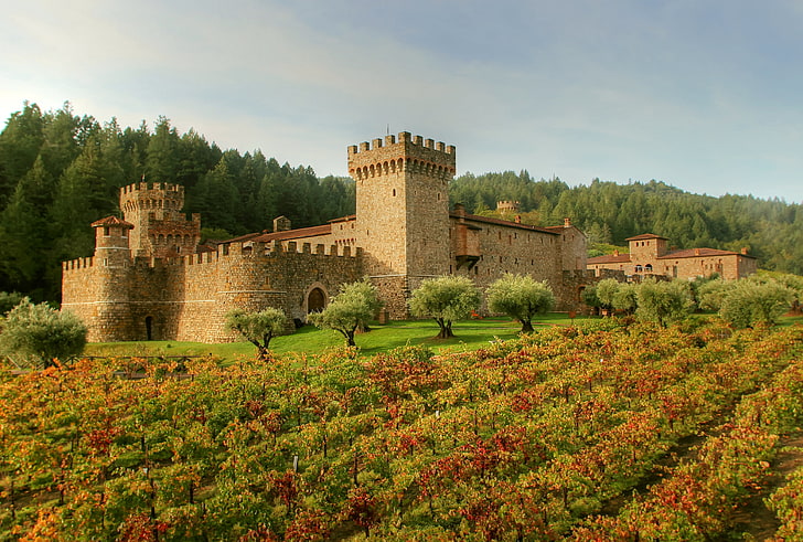 field, forest, grass, trees, castle, Italy, fortress, plantation, Tuscany, Castello di Amorosa, HD wallpaper