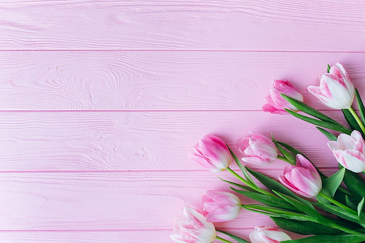 flowers, pink, Tulips, wooden background, HD wallpaper