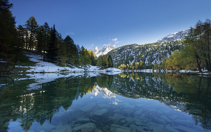 eau calme et pins, nature, paysage, lac, neige, forêt, montagnes, reflet, Alpes, pic enneigé, arbres, eau, calme, Fond d'écran HD