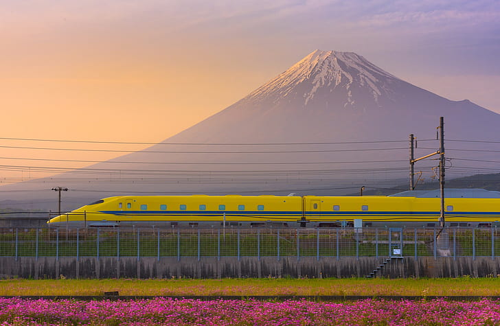 Japão, crepúsculo, pôr do sol, flores, crepúsculo, Fuji, trem-bala, HD papel de parede