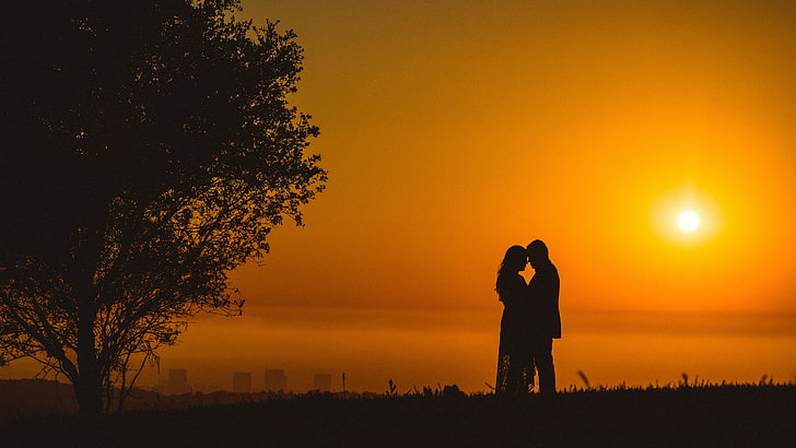 Romantic evening, couples, trees, birds, sunset, silhouette, Romantic,  Evening, HD wallpaper | Wallpaperbetter