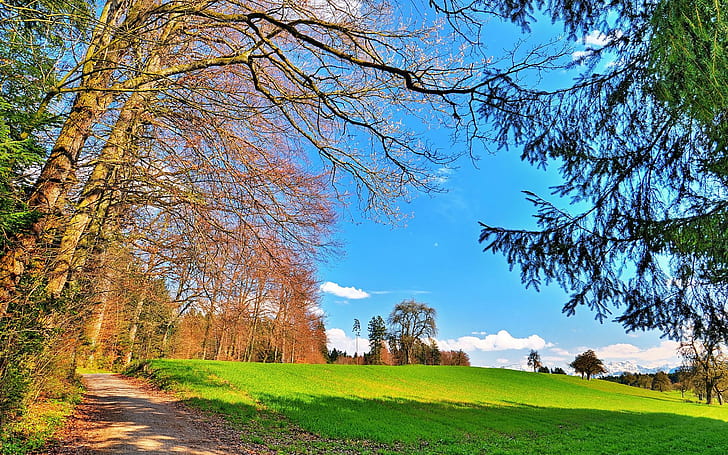 Schöner Tag auf dem Gebiet, weiße Wolken, Bäume, Feld, Weg, azurblauer Himmel, grünes Gras, 3d und Zusammenfassung, HD-Hintergrundbild
