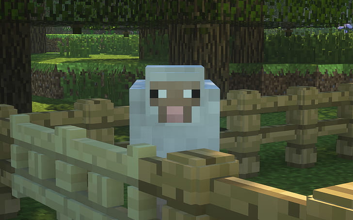 Video Game, Minecraft, Fence, Sheep, HD wallpaper