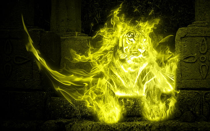 Animal, Artistic, Colors, Fire, Tiger, Yellow, HD wallpaper