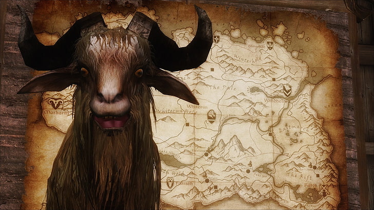 Chèvre Skyrim, The Elder Scrolls V: Skyrim, chèvres, Fond d'écran HD