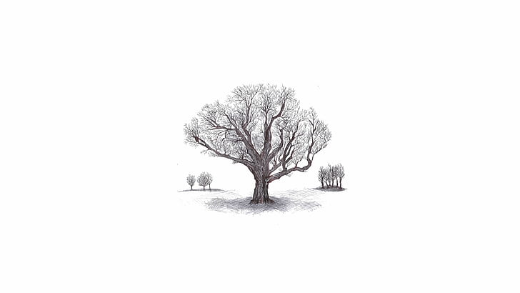 tusz, pień drzewa, kompozycja, białe tło, proste tło, prosty, rysunek, Tapety HD
