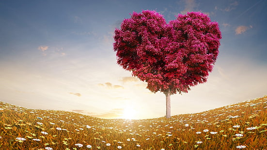 Дерево любви, любовь, дерево, сердце, день святого валентина, HD обои HD wallpaper