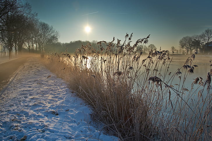 brown hay between body of water and road with snow, OuderAmstel, brown, hay, body of water, road, Amstel, ijs, winter, zon, Noord-Holland, Nederland, Fujifilm, XE, polarize, landscape, Netherlands, europe, reeds, tree  river, rivier, cold, mood, sunrise, sun, riet, dijk, embankment, trees, bomen, nature, snow, outdoors, HD wallpaper