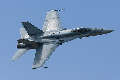 самолет, McDonnell Douglas F / A-18 Hornet, реактивен изтребител, F / A-18 Hornet, самолет, военен самолет, HD тапет HD wallpaper