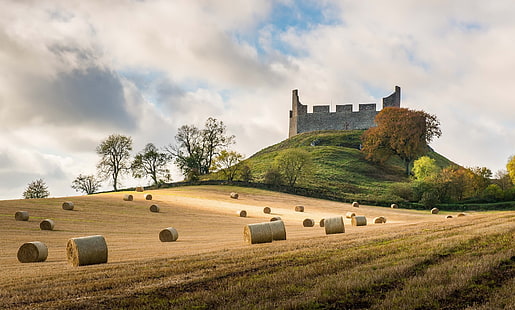 поле сена, шотландия, замок, поле, пейзаж, солнечный свет, холмы, деревья, природа, облака, желтый, HD обои HD wallpaper
