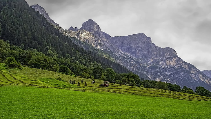 green grass field, landscape, nature, mountains, forest, Alps, clouds, grass, Tyrol, Austria, vehicle, summer, green, HD wallpaper