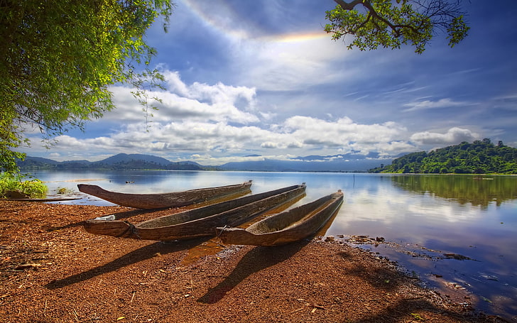 three brown wooden canoes, boats, three, pond, trunks, HD wallpaper
