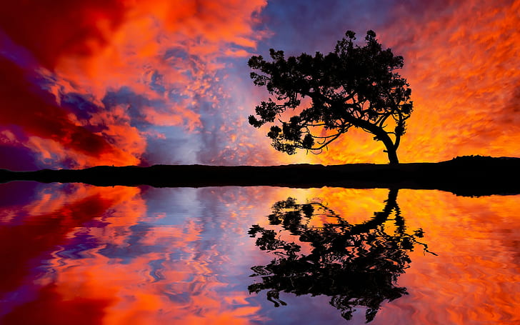 Baum bewölkt Sonnenuntergang-Reflexions-Schattenbild HD, Natur, Wolken, Sonnenuntergang, Baum, Reflexion, Schattenbild, HD-Hintergrundbild