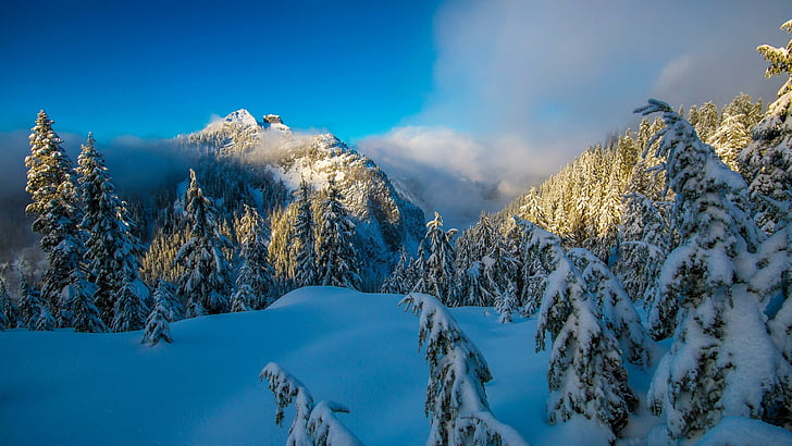 hiver, montagnes, montagnes, neige, vancouver, montagne, neigeux, forêt, colombie-britannique, paysages de mont, gel, sapin, pin, Fond d'écran HD